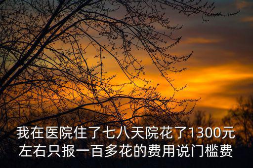 我在醫院住了七八天院花了1300元左右只報一百多花的費用說門檻費