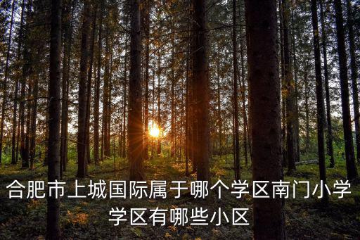 合肥市上城國際屬于哪個學區南門小學學區有哪些小區