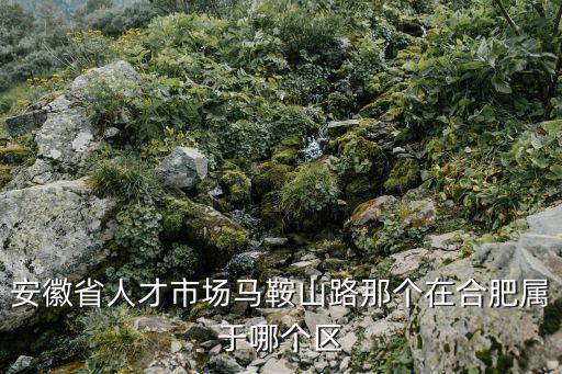 安徽省人才市場(chǎng)馬鞍山路那個(gè)在合肥屬于哪個(gè)區(qū)