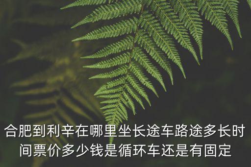 合肥到利辛在哪里坐長途車路途多長時間票價多少錢是循環車還是有固定