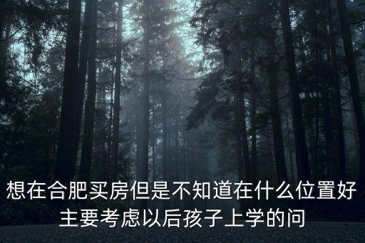 合肥房子，我想要一個屬于自己的房子在合肥目前哪些房子可以值得推薦的啊