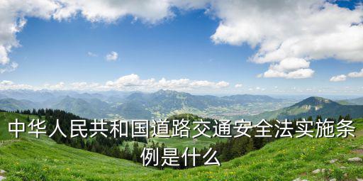 中華人民共和國(guó)道路交通安全法實(shí)施條例是什么