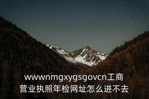 wwwnmgxygsgovcn工商營業執照年檢網址怎么進不去