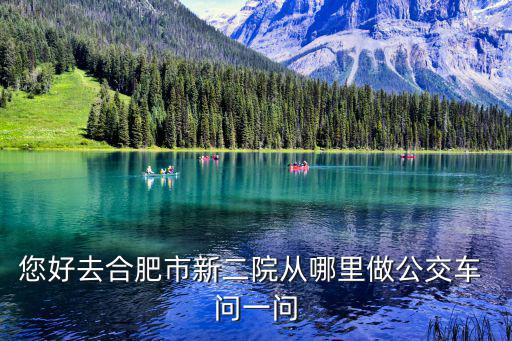 您好去合肥市新二院從哪里做公交車 問一問