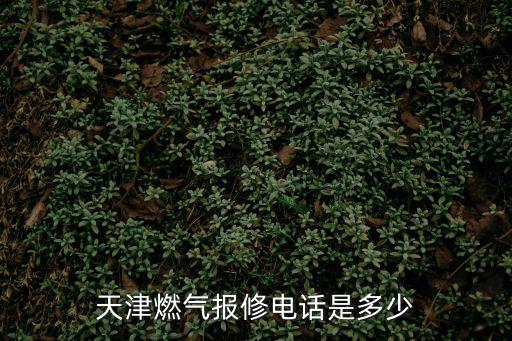 燃氣維修電話，天津燃氣報修電話是多少