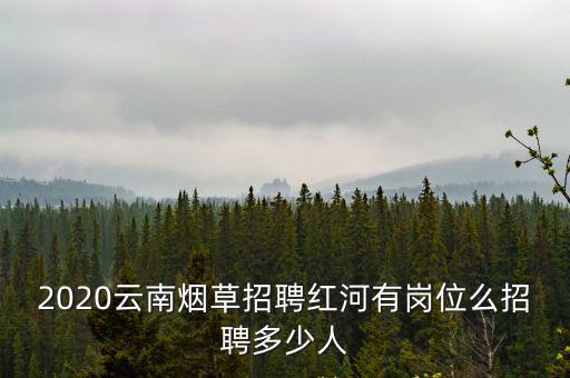 2020云南煙草招聘紅河有崗位么招聘多少人