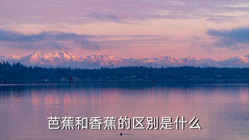 芭蕉和香蕉的區(qū)別是什么
