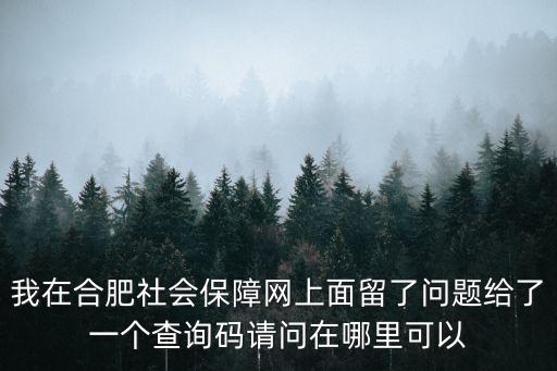 我在合肥社會保障網上面留了問題給了一個查詢碼請問在哪里可以