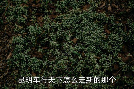 昆明車行天下怎么走新的那個