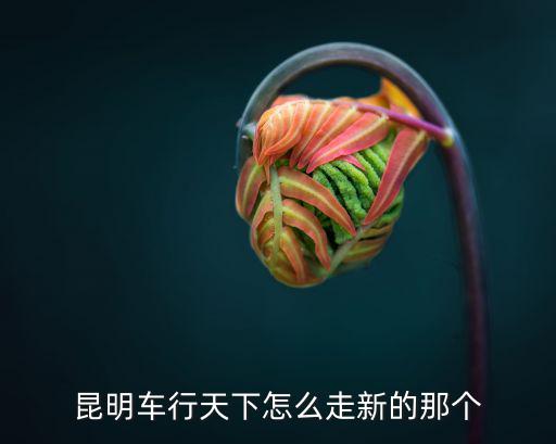 昆明車行天下怎么走新的那個(gè)