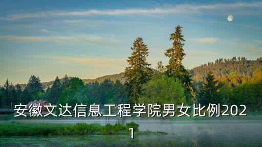 安徽文達信息工程學(xué)院男女比例2021