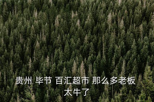 百匯超市，貴州 畢節(jié) 百匯超市 那么多老板 太牛了