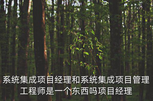 系統集成項目管理工程師，考系統集成項目管理工程師可以做什么