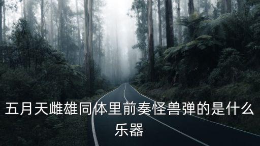 五月天雌雄同體里前奏怪獸彈的是什么樂器