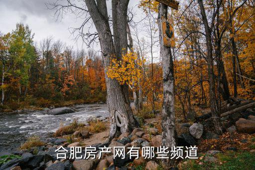 合肥房產網有哪些頻道