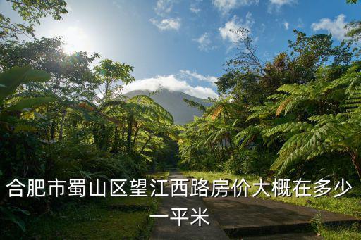 合肥市蜀山區望江西路房價大概在多少一平米