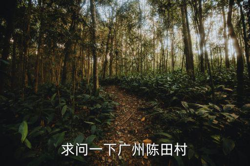 求問一下廣州陳田村