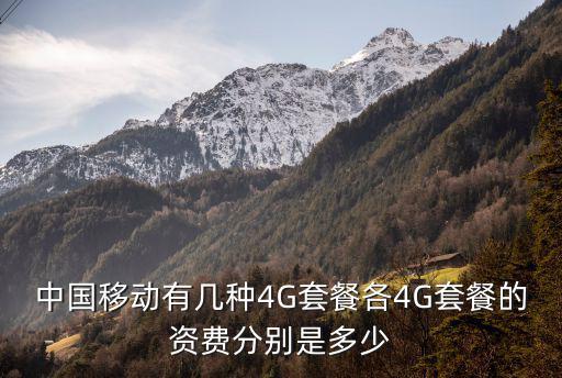 中國移動有幾種4G套餐各4G套餐的資費分別是多少