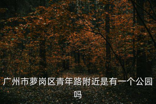 廣州市蘿崗區青年路附近是有一個公園嗎