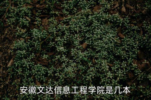 安徽文達信息工程學院是幾本