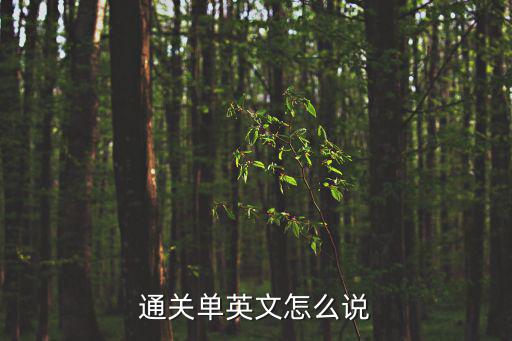 通關單英文怎么說