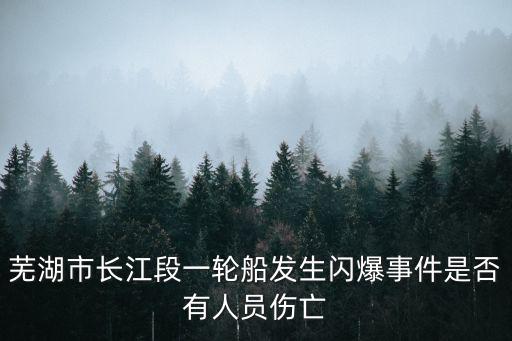 蕪湖爆炸，蕪湖左岸發生一起煤氣爆炸是否真的