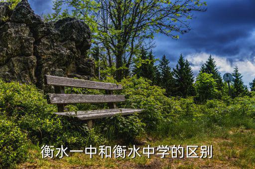 河北衡水一中，河北省衡水市一中具體位置在哪