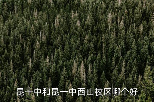 昆十中和昆一中西山校區哪個好