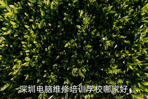 深圳電腦維修培訓學校哪家好
