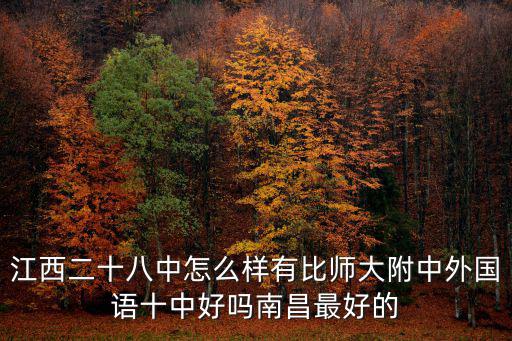 江西二十八中怎么樣有比師大附中外國語十中好嗎南昌最好的
