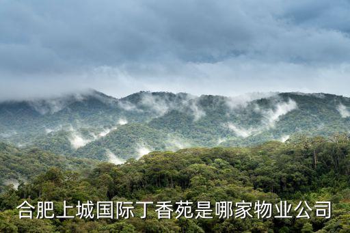 合肥上城國際丁香苑是哪家物業公司