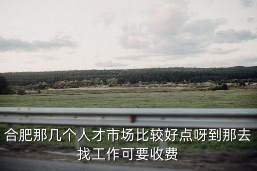 合肥那幾個人才市場比較好點呀到那去找工作可要收費