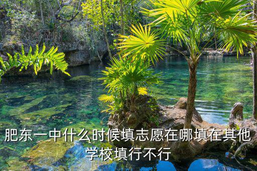 肥東一中什么時候填志愿在哪填在其他學校填行不行