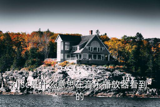disc是什么意思在音樂播放器看到的
