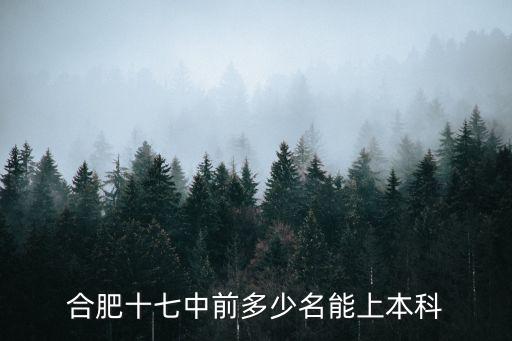 合肥十七中，合肥十七中與二十八中哪個(gè)高考升學(xué)率高