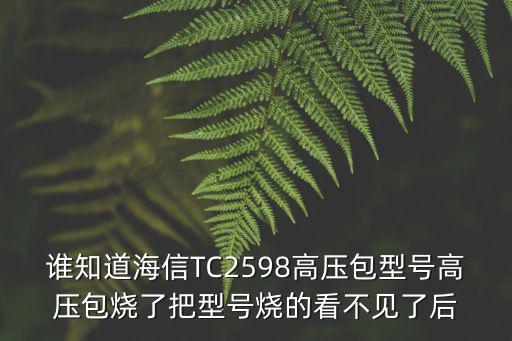 誰知道海信TC2598高壓包型號高壓包燒了把型號燒的看不見了后