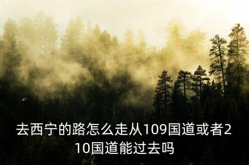 去西寧的路怎么走從109國(guó)道或者210國(guó)道能過去嗎