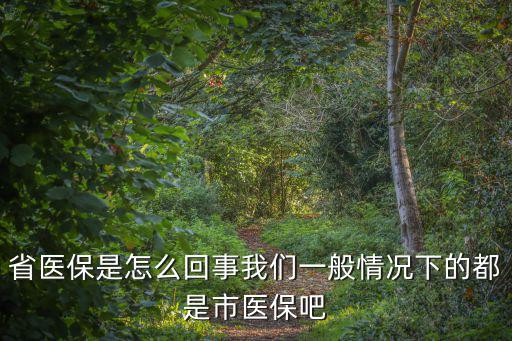 市醫(yī)保，請(qǐng)問(wèn)市醫(yī)保是哪類醫(yī)保