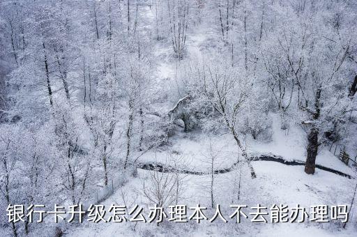 銀行卡升級(jí)怎么辦理本人不去能辦理嗎