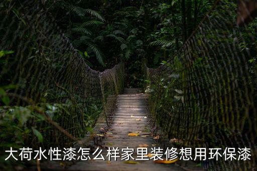 大荷水性漆，大荷水性漆刷了多久才可以進去住