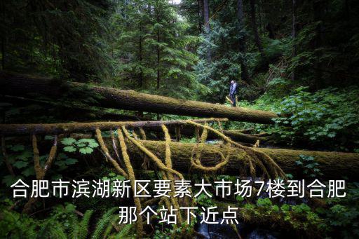 合肥市濱湖新區(qū)要素大市場(chǎng)7樓到合肥那個(gè)站下近點(diǎn)