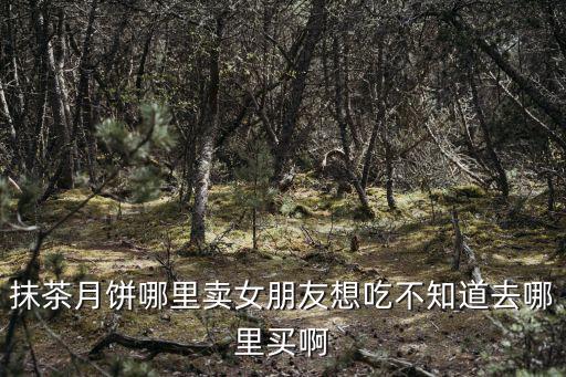 抹茶月餅哪里賣女朋友想吃不知道去哪里買啊