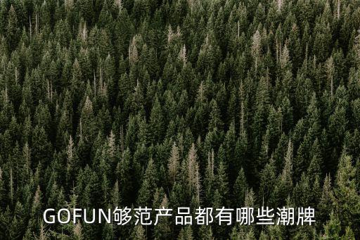 GOFUN夠范產(chǎn)品都有哪些潮牌