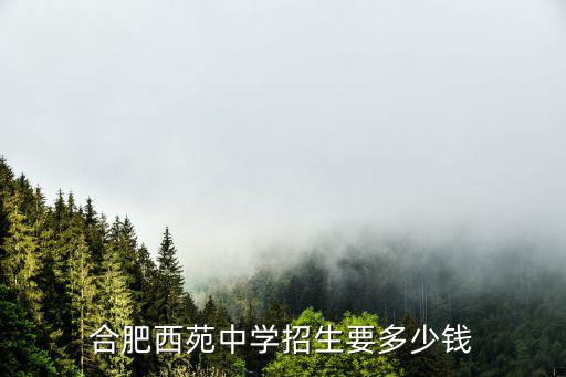 合肥西苑中學招生要多少錢