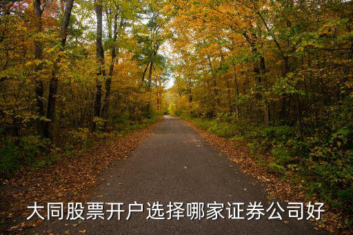 大同股票開戶選擇哪家證券公司好