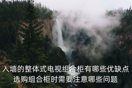 入墻的整體式電視組合柜有哪些優(yōu)缺點選購組合柜時需要注意哪些問題