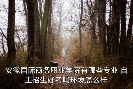 安徽國際商務職業學院有哪些專業 自主招生好考嗎環境怎么樣