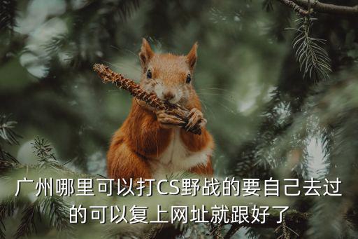 廣州哪里可以打CS野戰的要自己去過的可以復上網址就跟好了