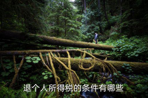 退個人所得稅的條件有哪些