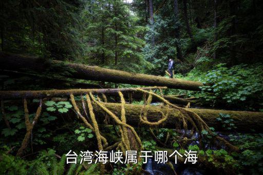 臺灣海峽屬于哪個海